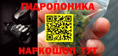 стаф Владикавказ