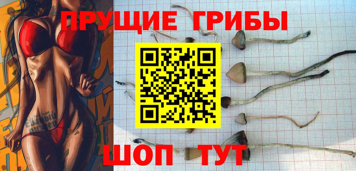 Псилоцибиновые грибы мухоморы Барнаул