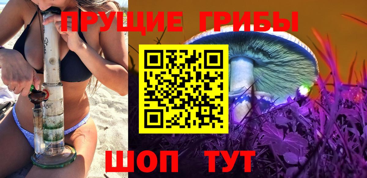 Псилоцибиновые грибы прущие грибы  хочу   Барнаул  Вход с VPN 